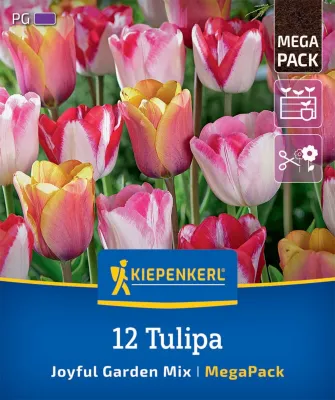 KIEPENKERL Blumenzwiebel Tulpe Mega Pack 'Joyful Garden', 12 Stück Cover